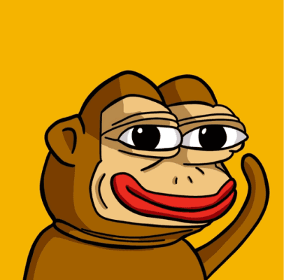 memex-memecoin-3