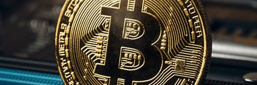 Profile Banner