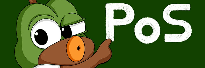 Profile Banner