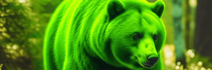Profile Banner