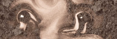 Profile Banner
