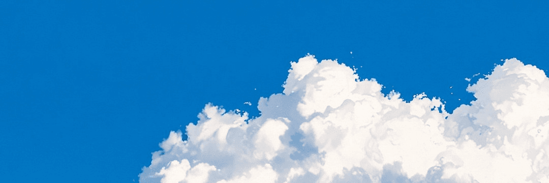 Profile Banner
