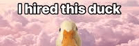 Profile Banner