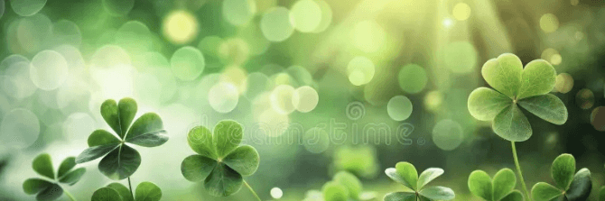 Profile Banner
