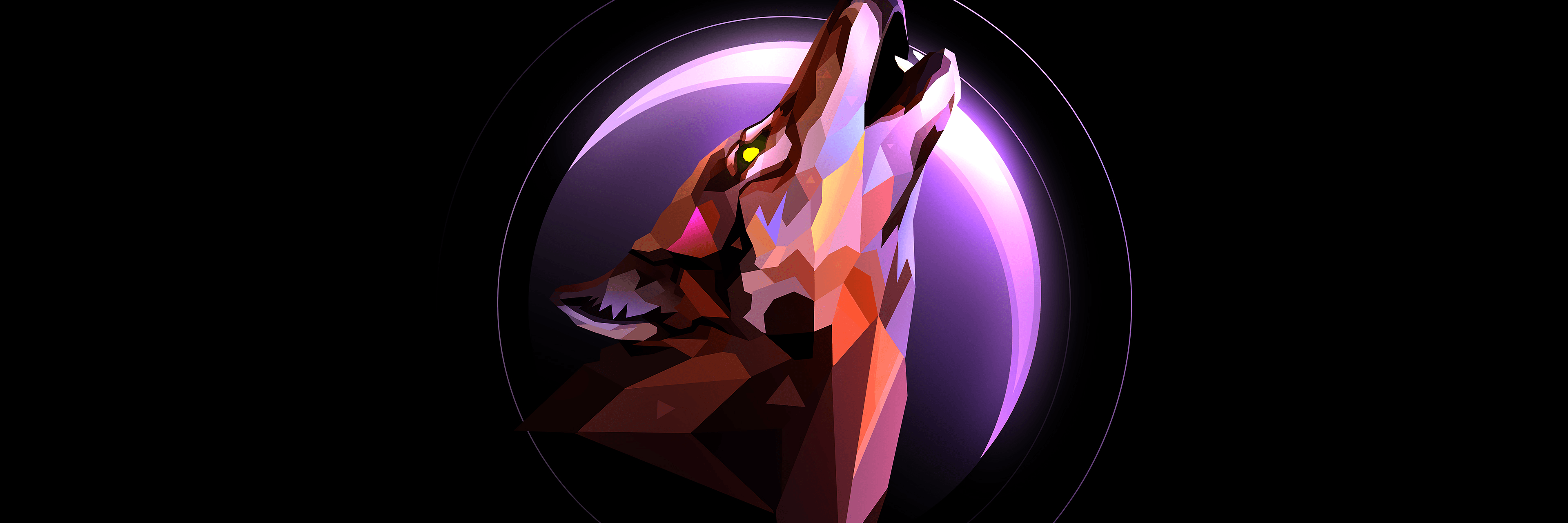 Profile Banner
