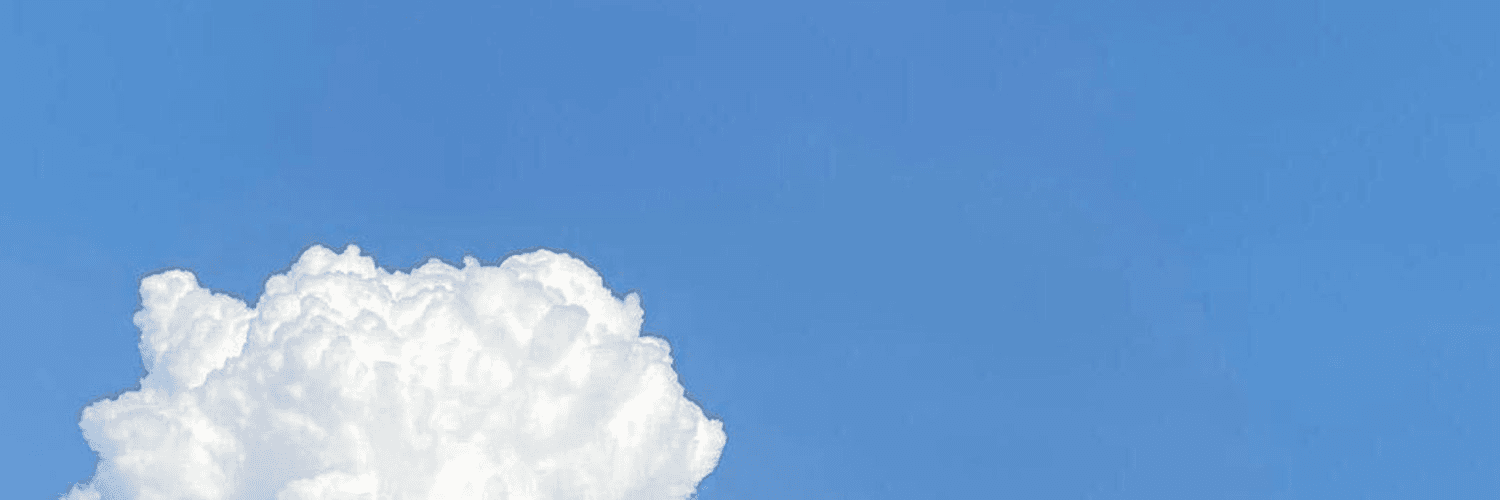 Profile Banner
