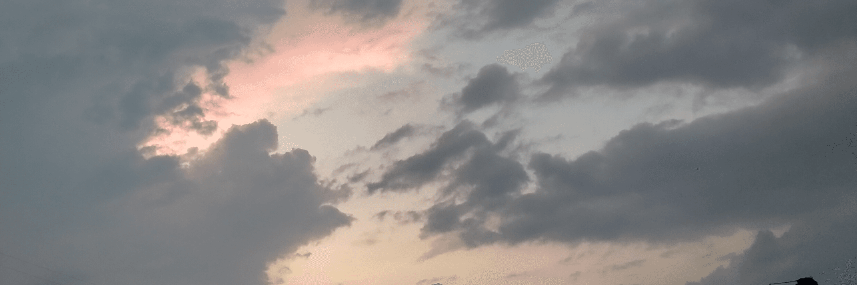 Profile Banner