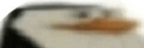 Profile Banner