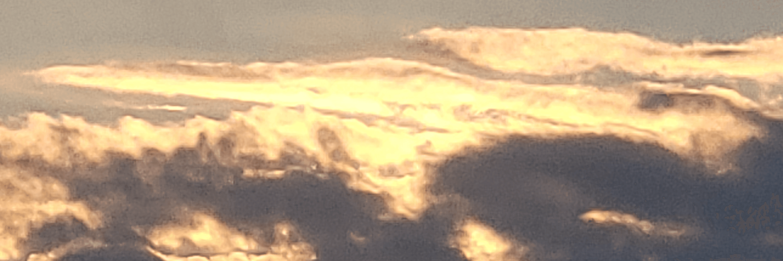 Profile Banner