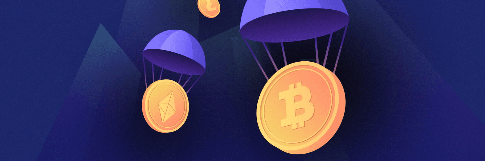 Profile Banner