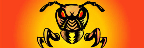 Profile Banner