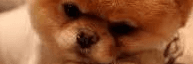 Profile Banner