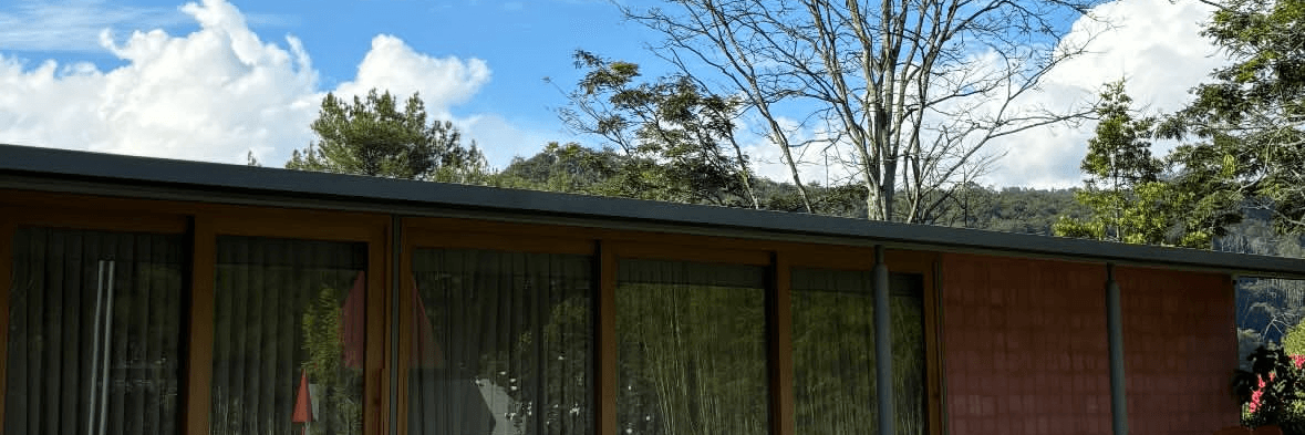 Profile Banner