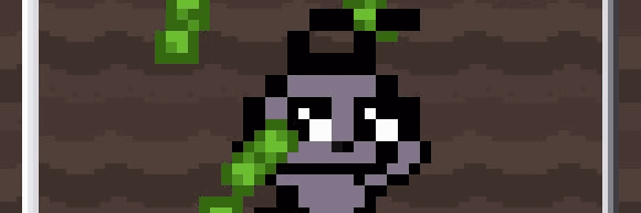 Profile Banner
