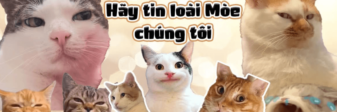 Profile Banner