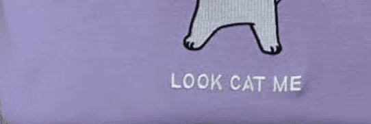 Profile Banner