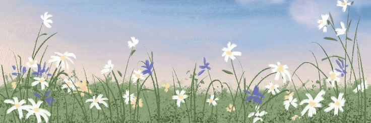 Profile Banner