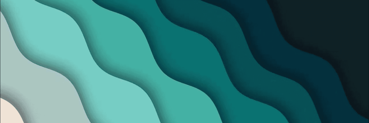 Profile Banner