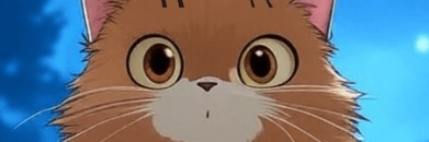 Profile Banner