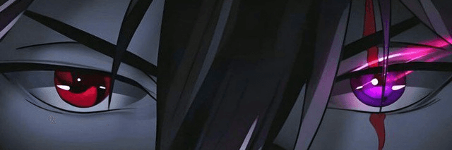 Profile Banner