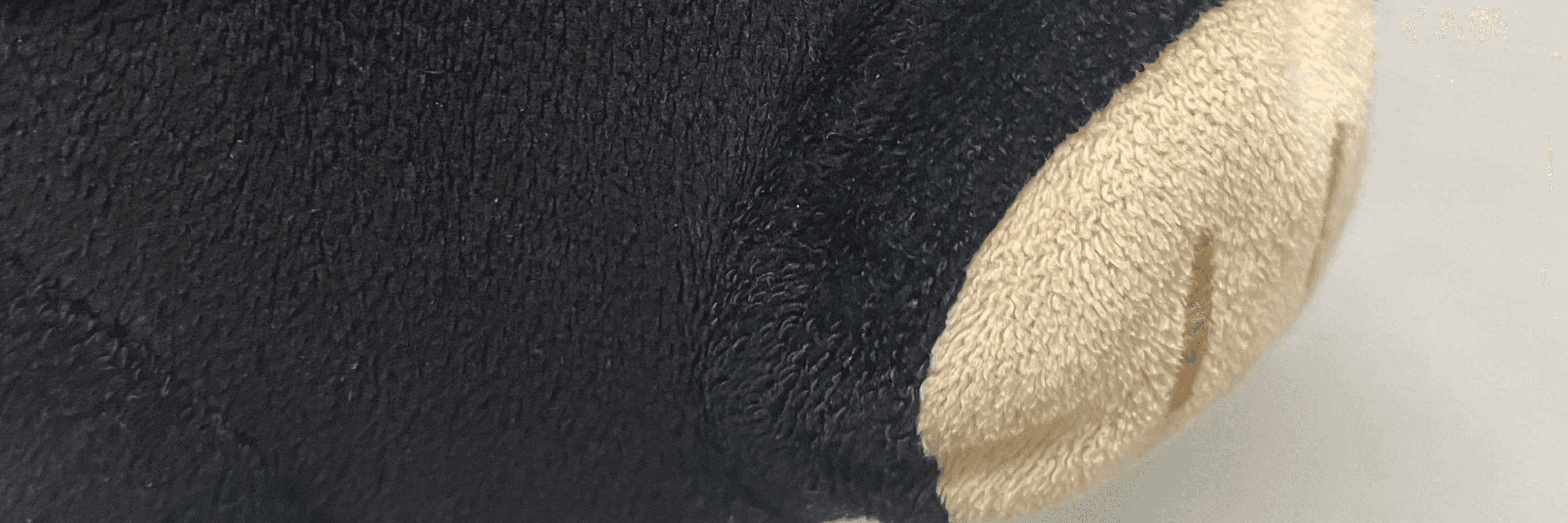 Profile Banner