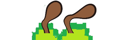 Profile Banner