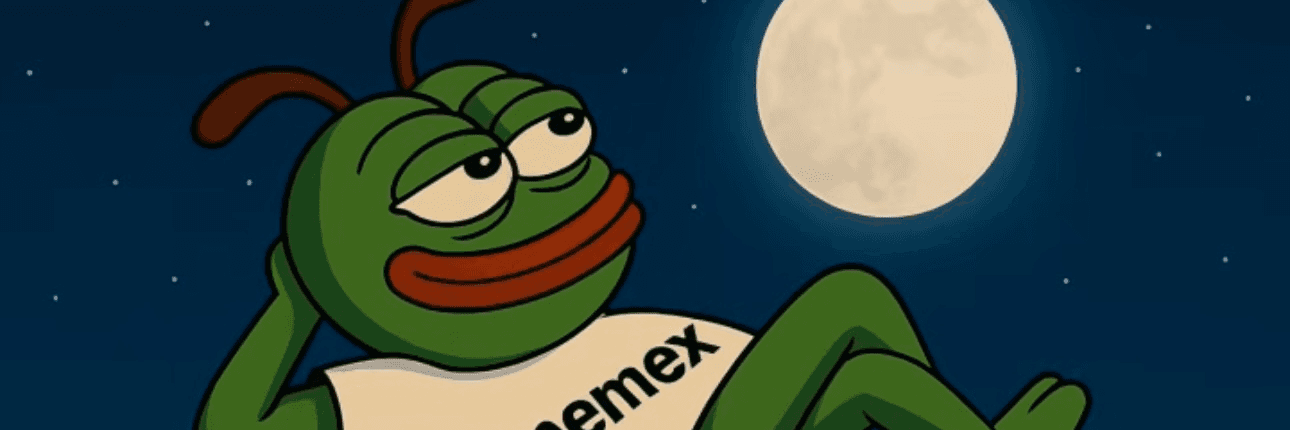 Profile Banner