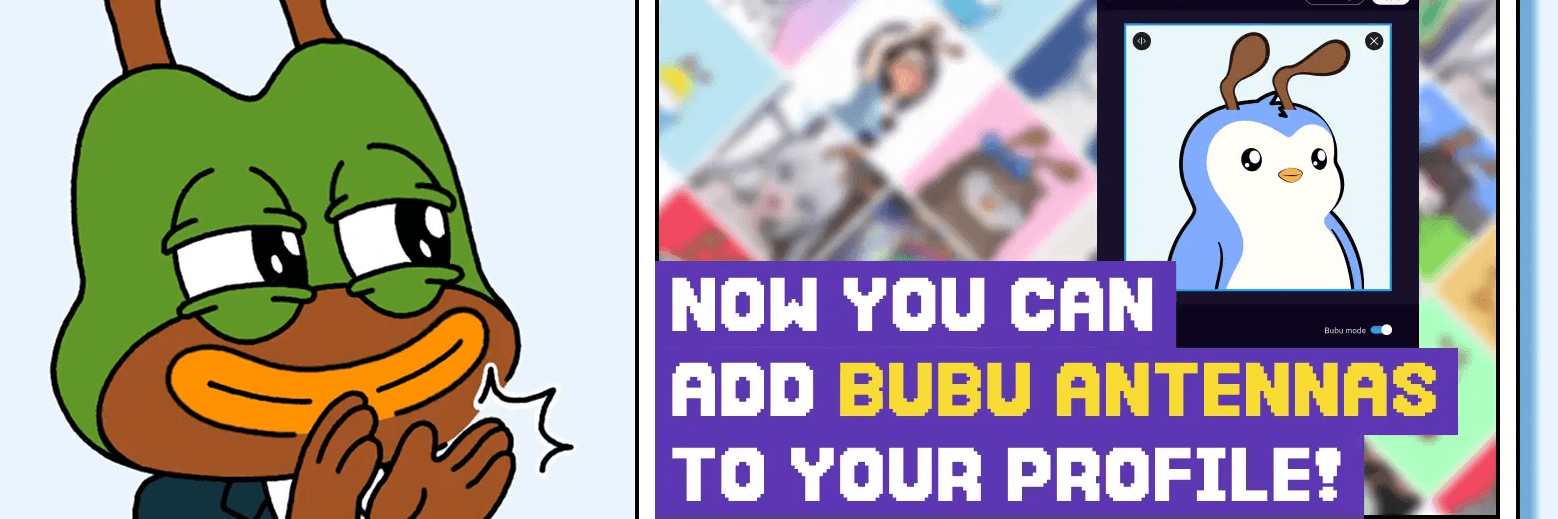 Profile Banner