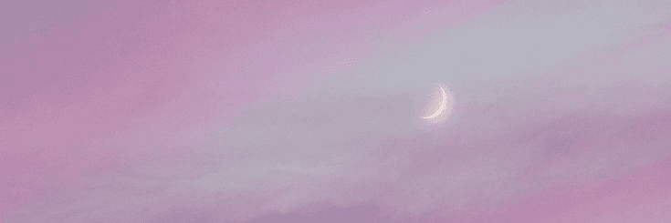 Profile Banner