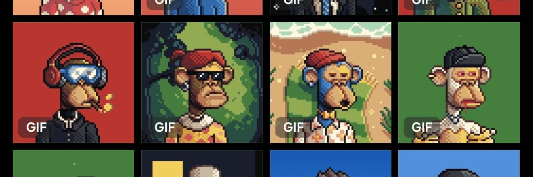 Profile Banner