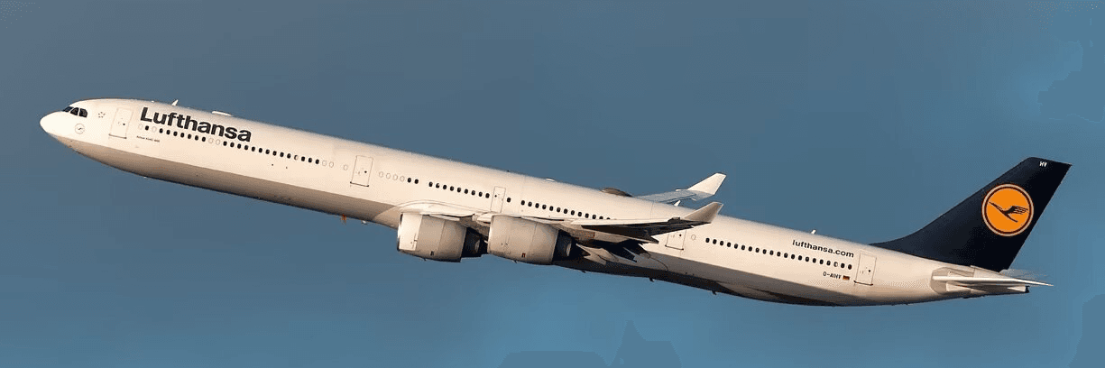 Profile Banner