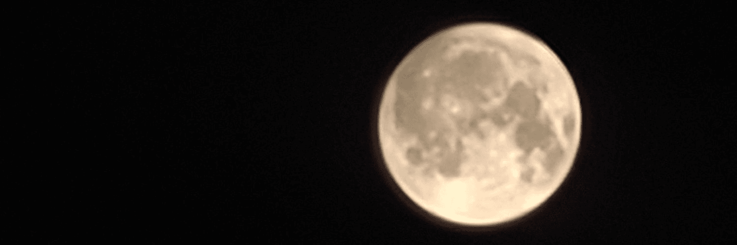 Profile Banner