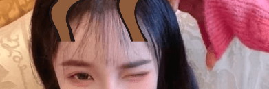 Profile Banner