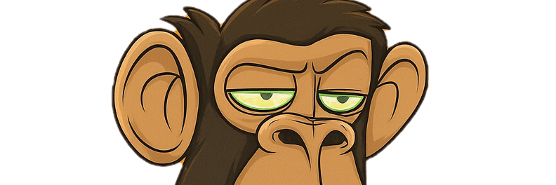 Profile Banner