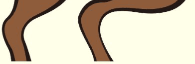 Profile Banner
