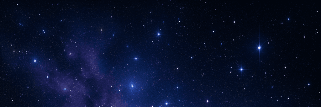 Profile Banner