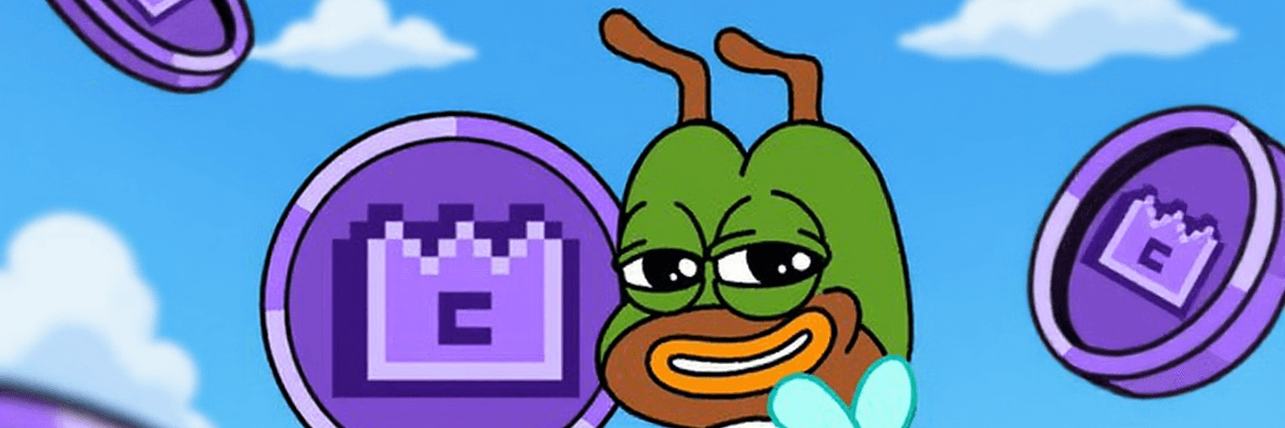 Profile Banner