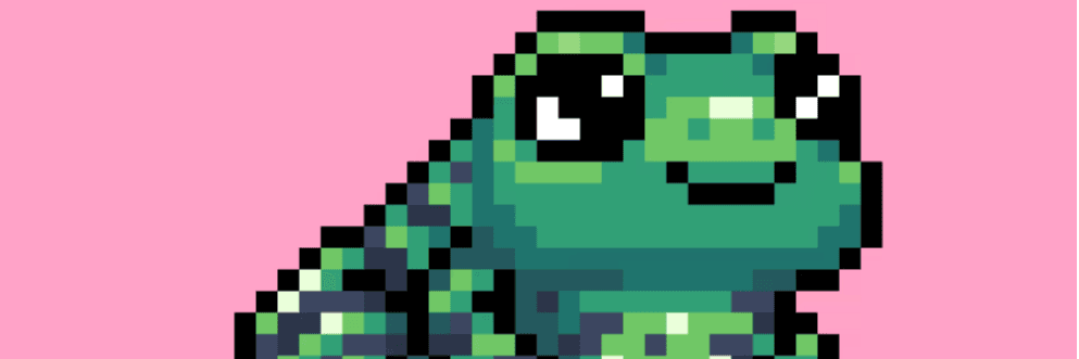 Profile Banner