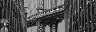 Profile Banner
