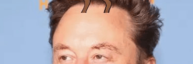Profile Banner