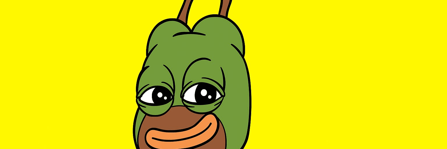 Profile Banner