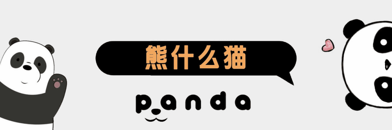 Profile Banner