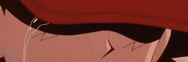 Profile Banner
