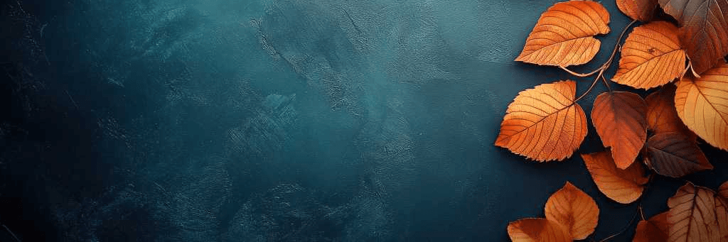 Profile Banner