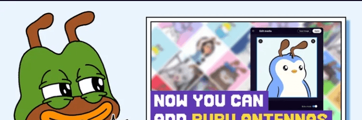 Profile Banner