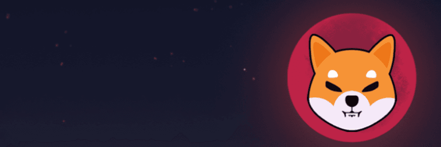 Profile Banner