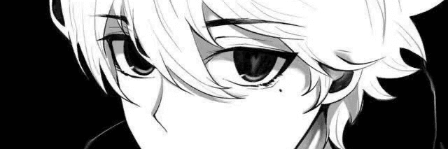 Profile Banner