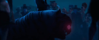 Profile Banner