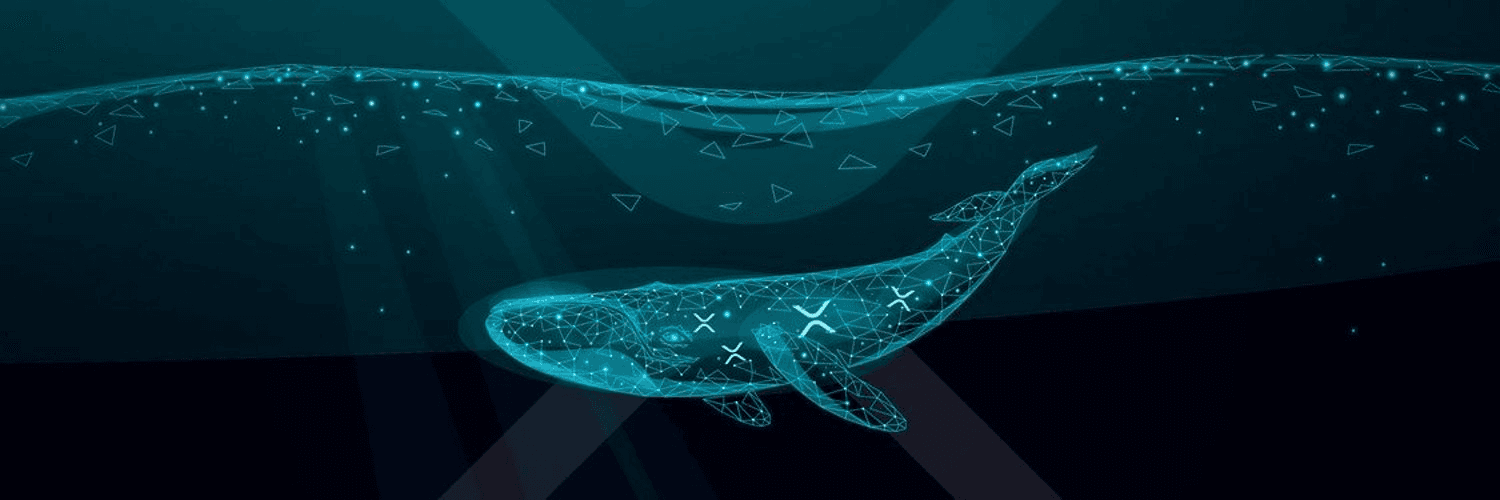 Profile Banner