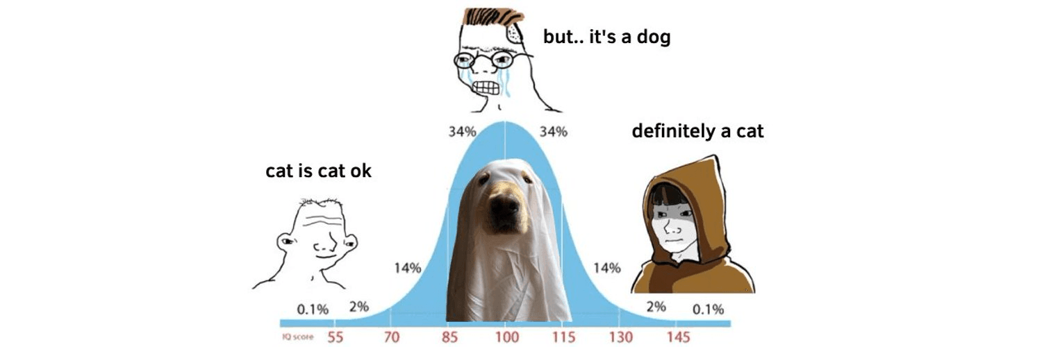 Profile Banner